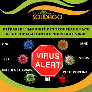 DNC, FCO, MHE, des solutions pour l'immunité existent !