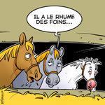 Charger l'image dans la galerie, Kit Holi Atchoum