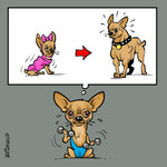 Charger l'image dans la galerie, Kit Holi Super Mâle