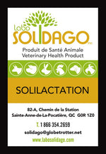 Charger l'image dans la galerie, SOLILACTATION