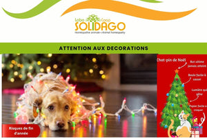 Les décorations de Noel un danger bien réel