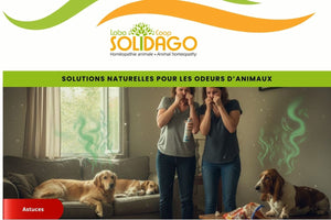 Comment atténuer les odeurs d'animaux dans la maison ?