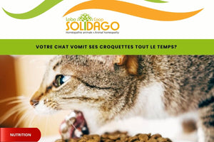 Croquettes " Sans grains " : attention !