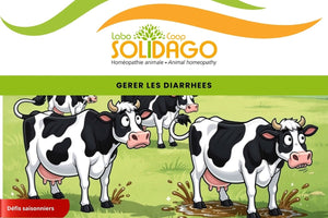 Gérer le stress thermique estival en stabulation avec SoliDia