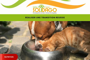 Comment réaliser une transition réussie ?