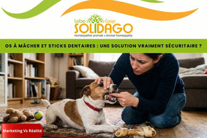 Os à mâcher et sticks dentaires pour chiens : attention aux fausses bonnes idées