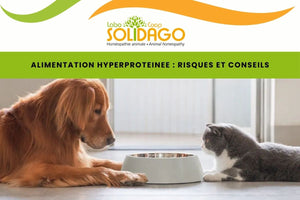 ALIMENTATION HYPER PROTEINEE : Risques et conseils
