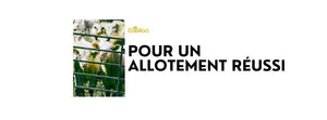 Comment réussir son allotement ?