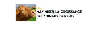 Comment maximiser la croissance des animaux de rente ?