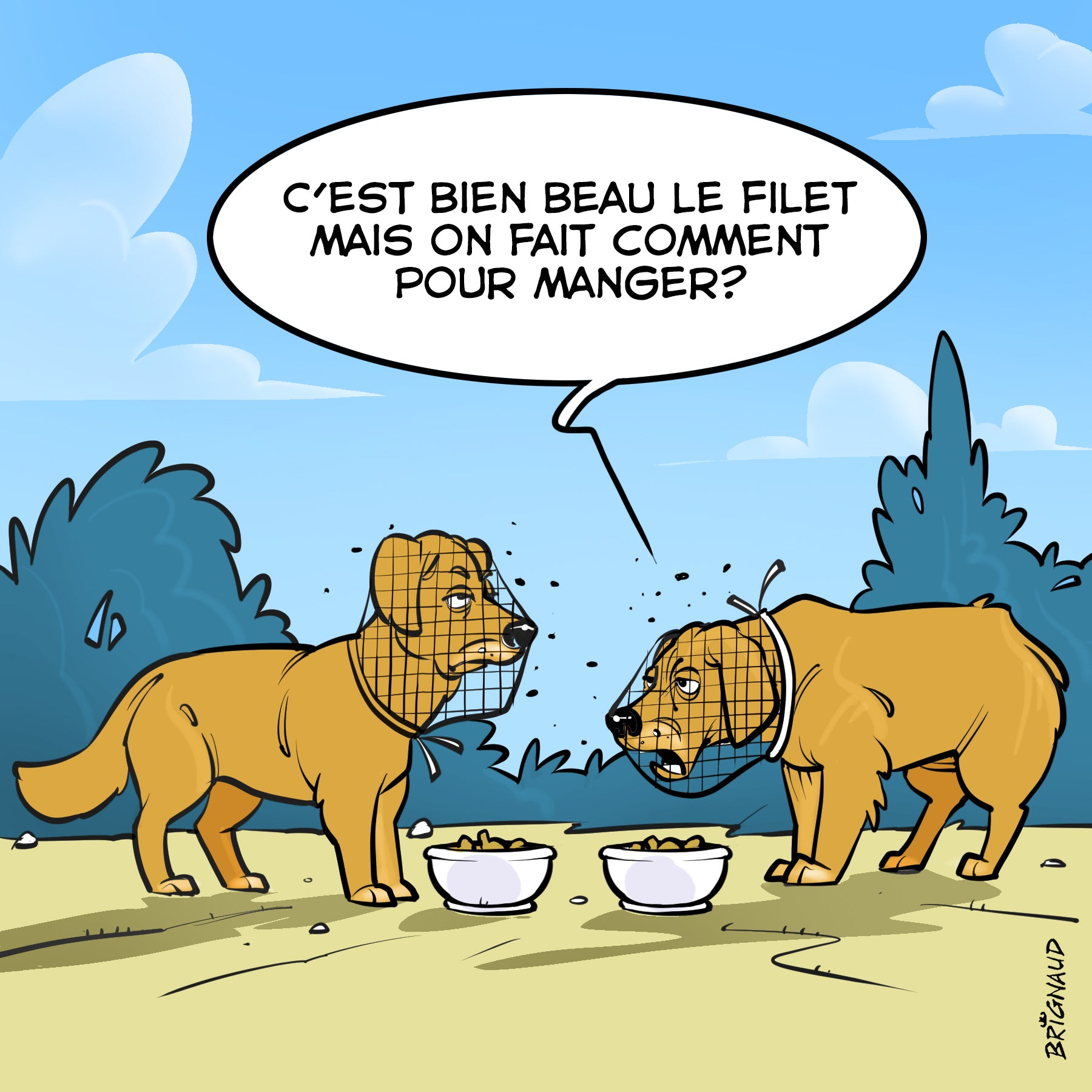 ALERTE sur les anti-parasitaires