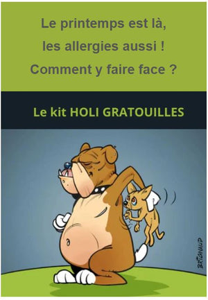 Faire face aux allergies saisonnières chez les chats et chiens