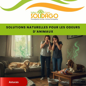 Comment atténuer les odeurs d'animaux dans la maison ?