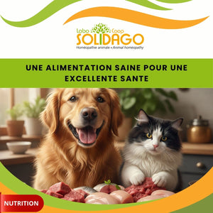 Bien nourrir son animal, c’est déjà le soigner.