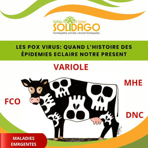 Pox-virus, variole et homéopathie : Quand l'histoire des épidémies éclaire notre présent