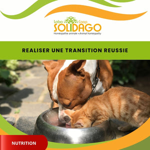 Comment réaliser une transition réussie ?