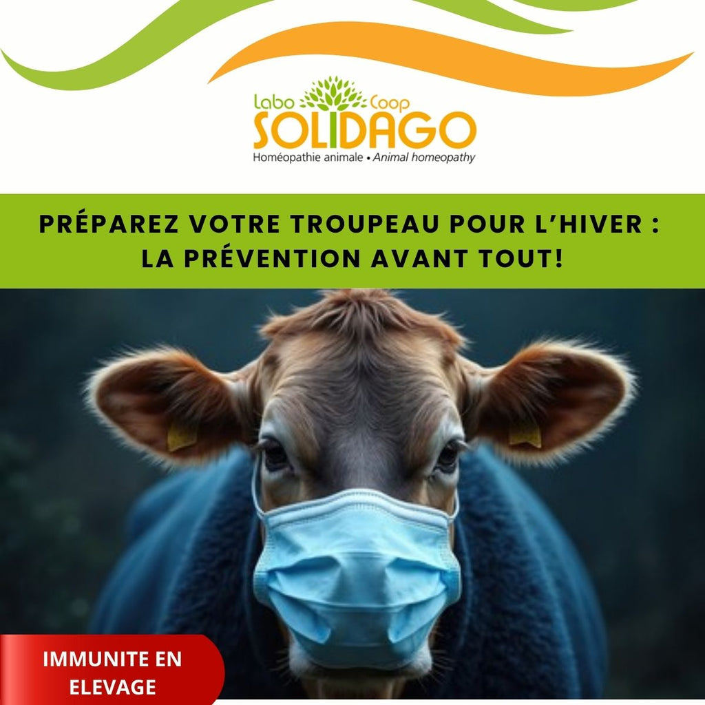 🐄 Préparez votre troupeau pour l’hiver : prévention avant tout!