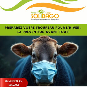 🐄 Préparez votre troupeau pour l’hiver : prévention avant tout!
