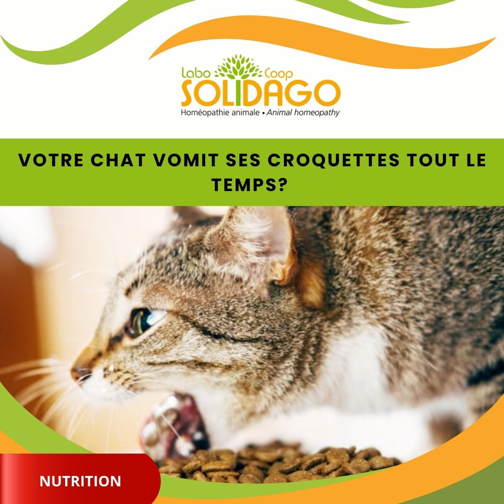 Croquettes " Sans grains " : attention !