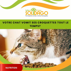 Croquettes " Sans grains " : attention !