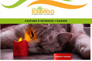 Une maison parfumée est dangereuse pour nos compagnons