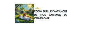 Les risques et dangers des vacances avec nos animaux de compagnie