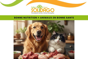 Bien nourrir son animal, c’est déjà le soigner.