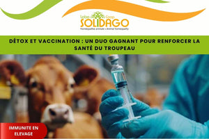Détox et vaccination : un duo gagnant pour renforcer la santé du troupeau