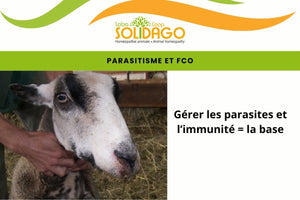 Parasitisme et FCO : tout est lié !