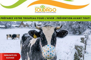 Préparez votre troupeau pour l’hiver : prévention avant tout!