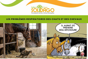 Problemas respiratorios en gatos y caballos.