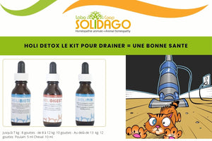 DETOX DE L'ORGANISME : à l'automne et au printemps avec le Kit HOLI DETOX