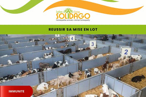 Comment réussir son allotement ?