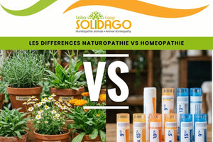 ¿Cuál es la diferencia entre homeopatía y naturopatía?