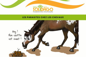 Les chevaux et les parasites