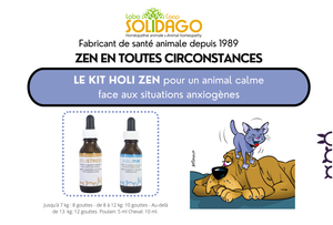 Holi Zen Kit