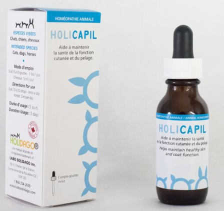 Holi Scratch Kit