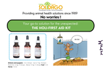 Load image into Gallery viewer, Holi-First Aid Kit
