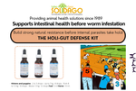Load image into Gallery viewer, Holi-Gut Defense Kit
