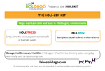 Load image into Gallery viewer, Holi Zen Kit
