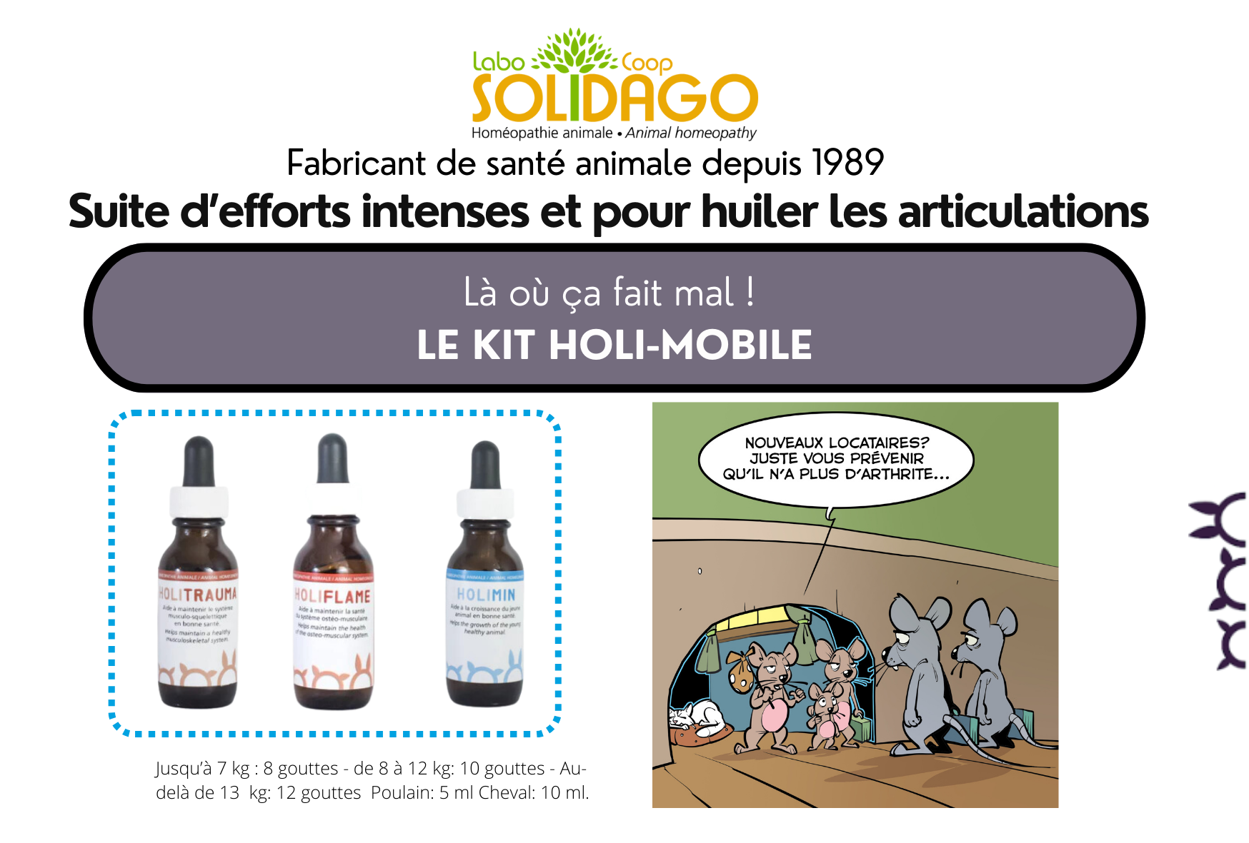 Holi-Mobile Kit 