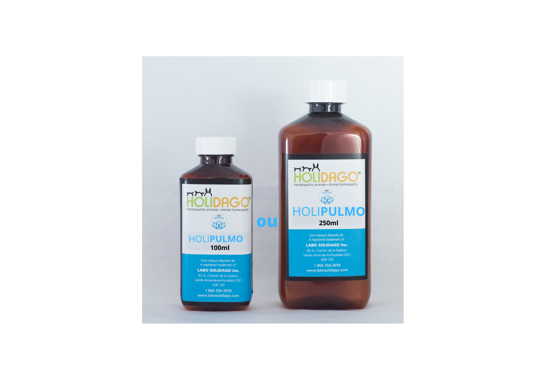 HoliPulmo - pour un système respiratoire en santé