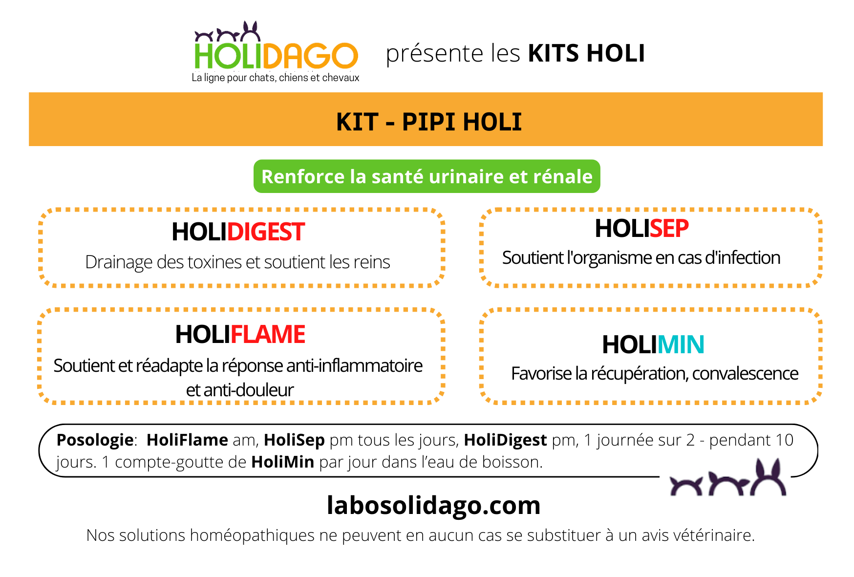 Kit de pis-holi
