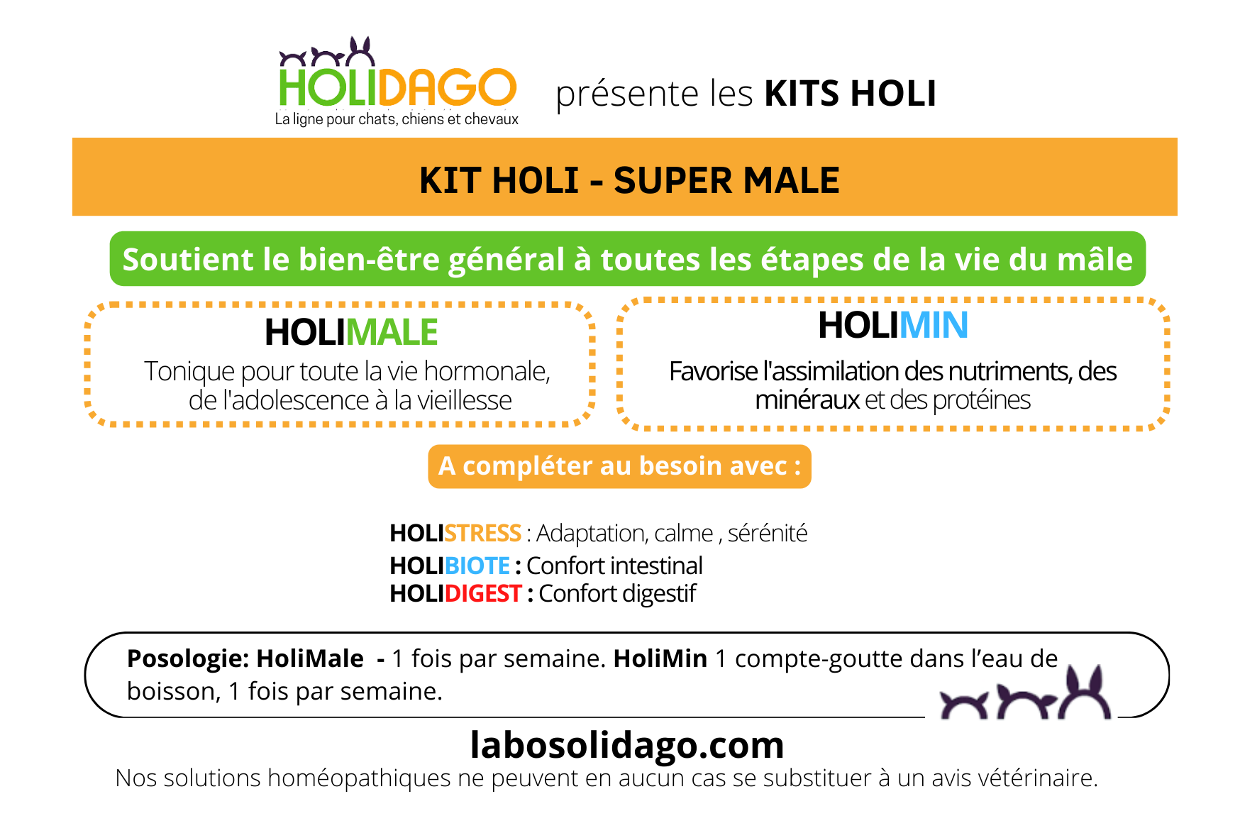 Kit Holi Super Mâle