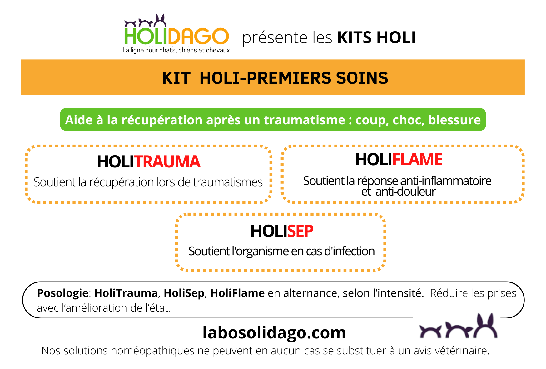 kit holi-bobo